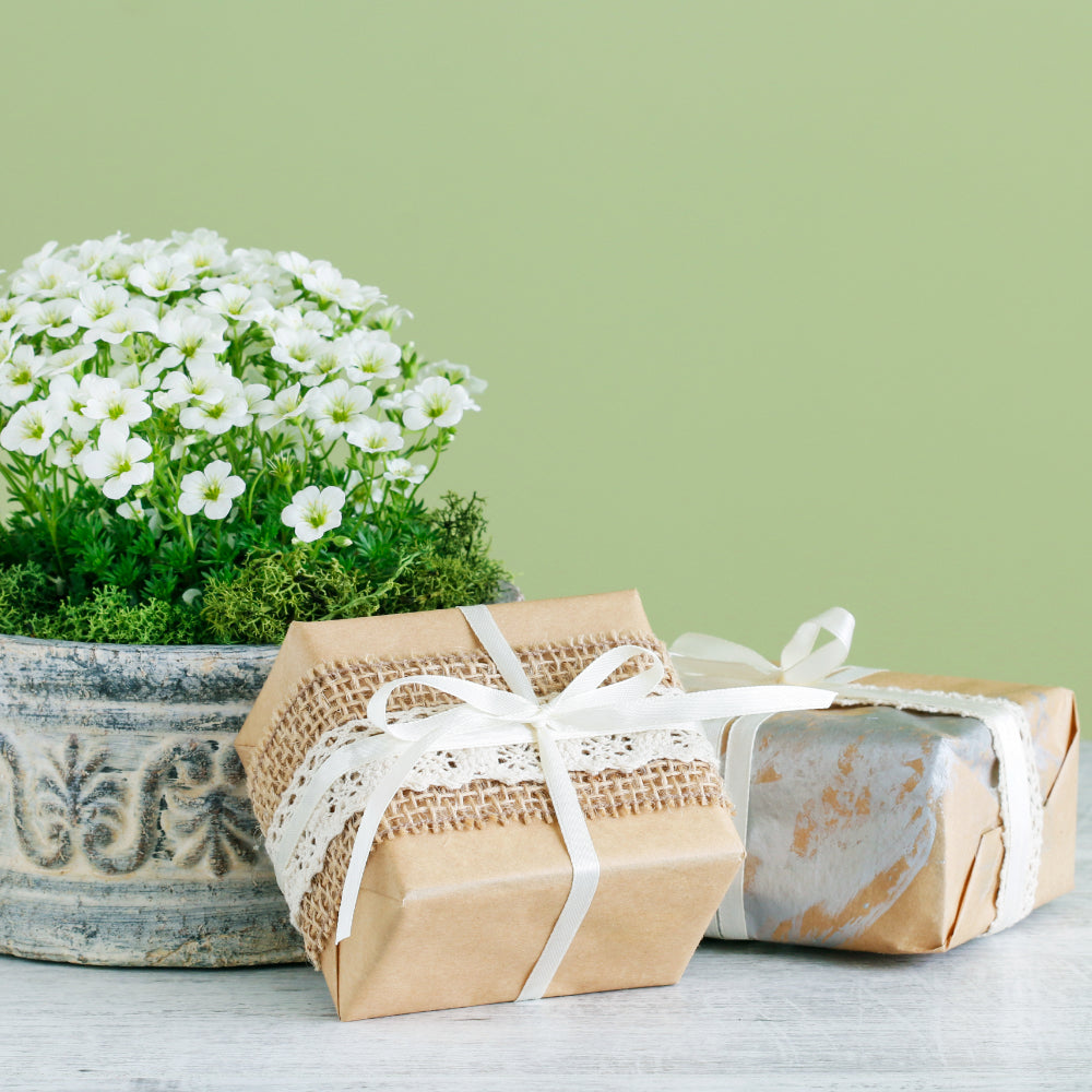 Vermont Baskets - Gourmet gifts, Gourmet, Cheese, Crackers, Flowers, Meats, Milton Gift Baskets Delivery. Vermont Baskets - Gourmet gifts, Gourmet, Cheese, Crackers, Flowers, Meats, Milton Gift Baskets Delivery.