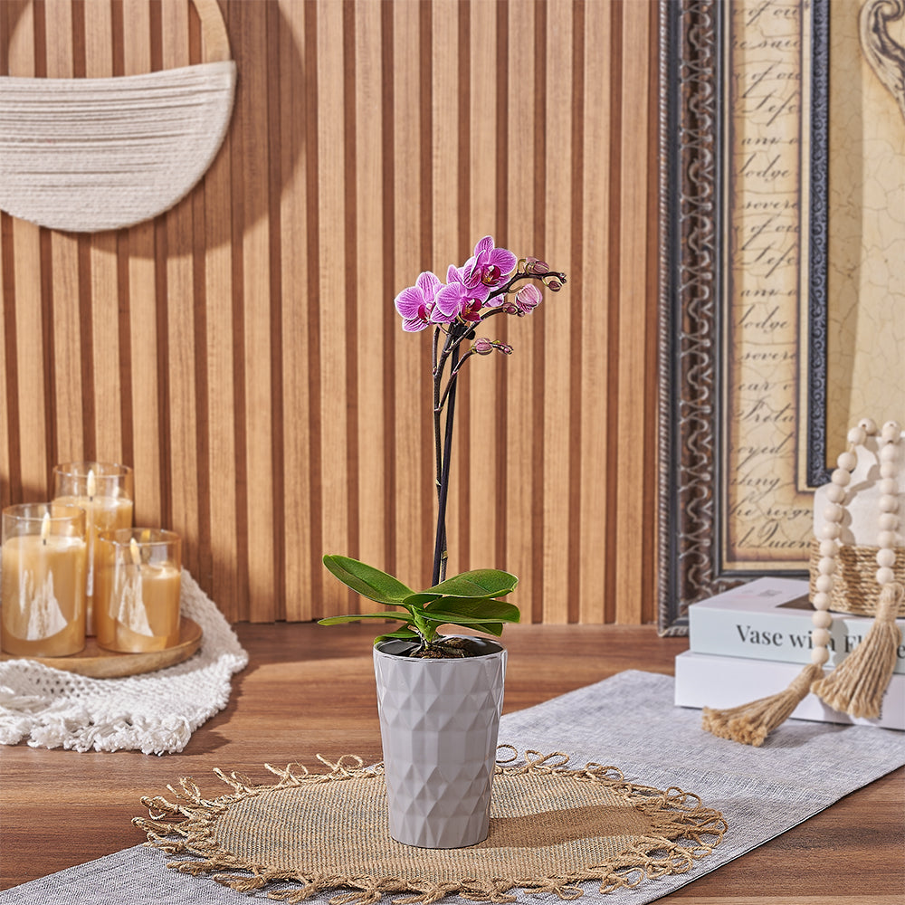 Contemporary Pink Orchid – how the gift is presented