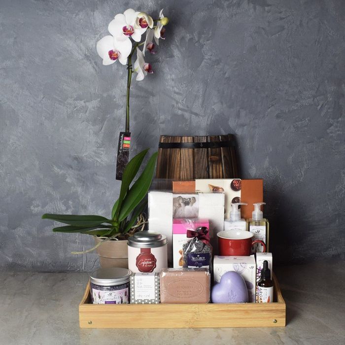 Elegant Phalaenopsis Orchid Gift Basket – how the gift is presented
