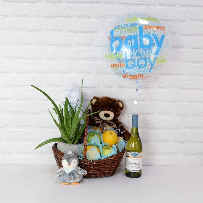 It’s a Baby Boy Gift Basket from Vermont Baskets - Wine Gift Set - Vermont Delivery