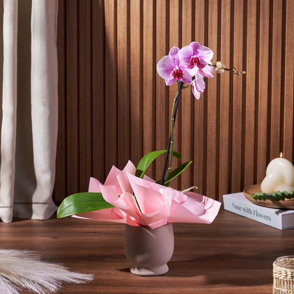 Potted Phalaenopsis Orchid Gift – how the gift is presented