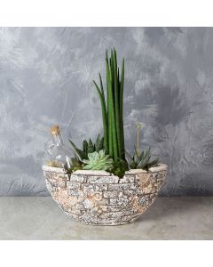 St. Lawrence Potted Succulent Garden, floral gift baskets, gift baskets, succulent gift baskets