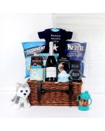 SPECIAL DELIVERY FOR THE BABY GIFT BASKET, baby boy gift basket, welcome home baby gifts, new parent gifts

