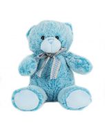 Baby Blue Bear, plush toys, plush gift baskets
